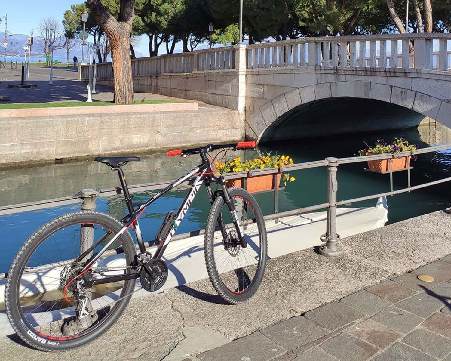 Noleggio Bicicletta Mountain Bike Mtb Lago Di Garda Cavabike